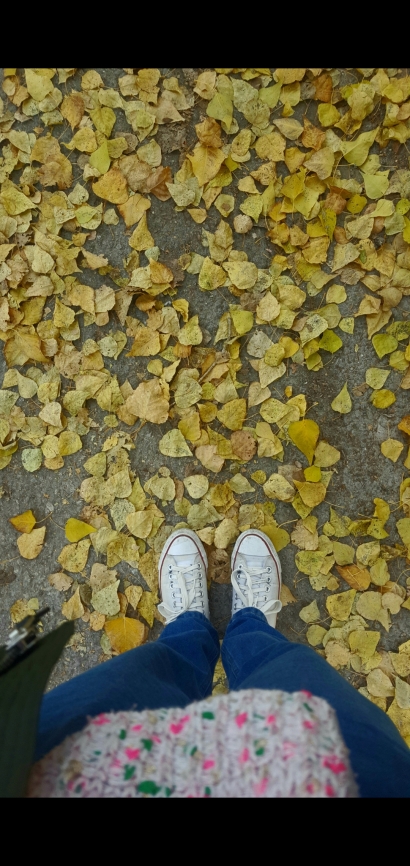 Walk over autumn leaves