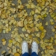 Walk over autumn leaves