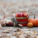 Chippie's Autumn Feast