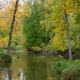 Duck Pond in fall