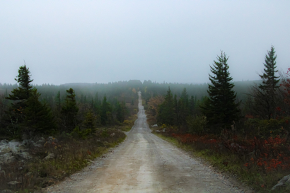 A Narrow, Fall Road