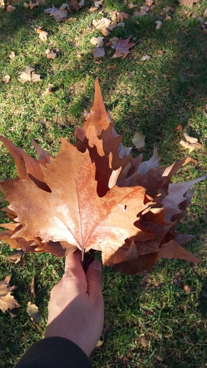 Inspiring Leaves