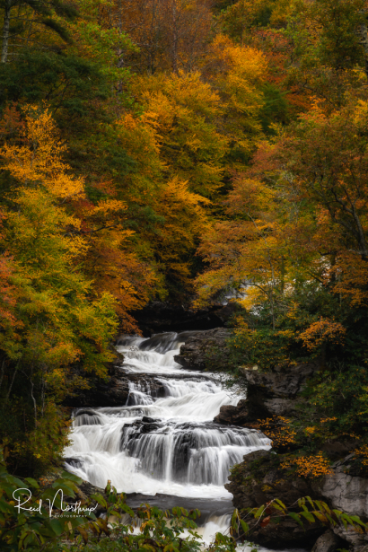 Cullasaja Falls in Autumn