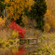 Autumn in Losiny Ostrov National Park - 2