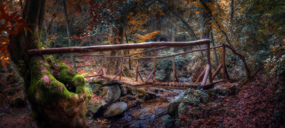 Old wooden bridge in the magic...