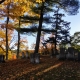 Fall Colors at Mount Hope Cemetery