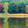 fall-reflections