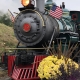 Fall at Tweetsie Railroad
