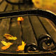 Park Bench in Fall