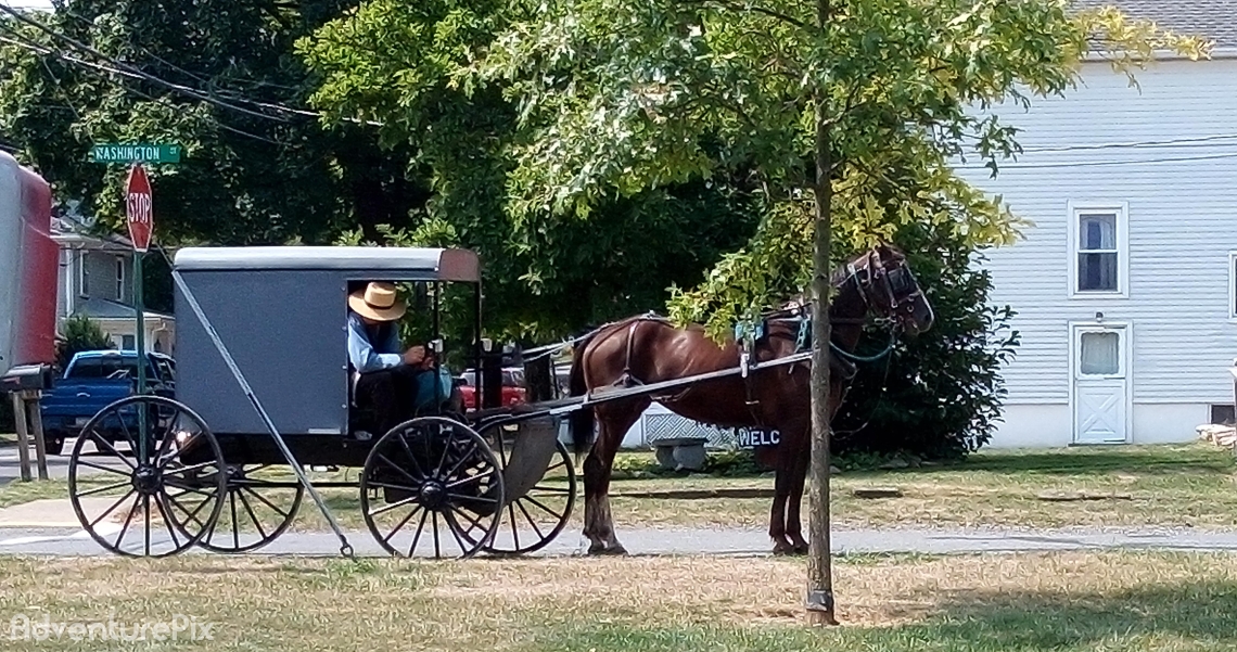 A Amish man and his buggy