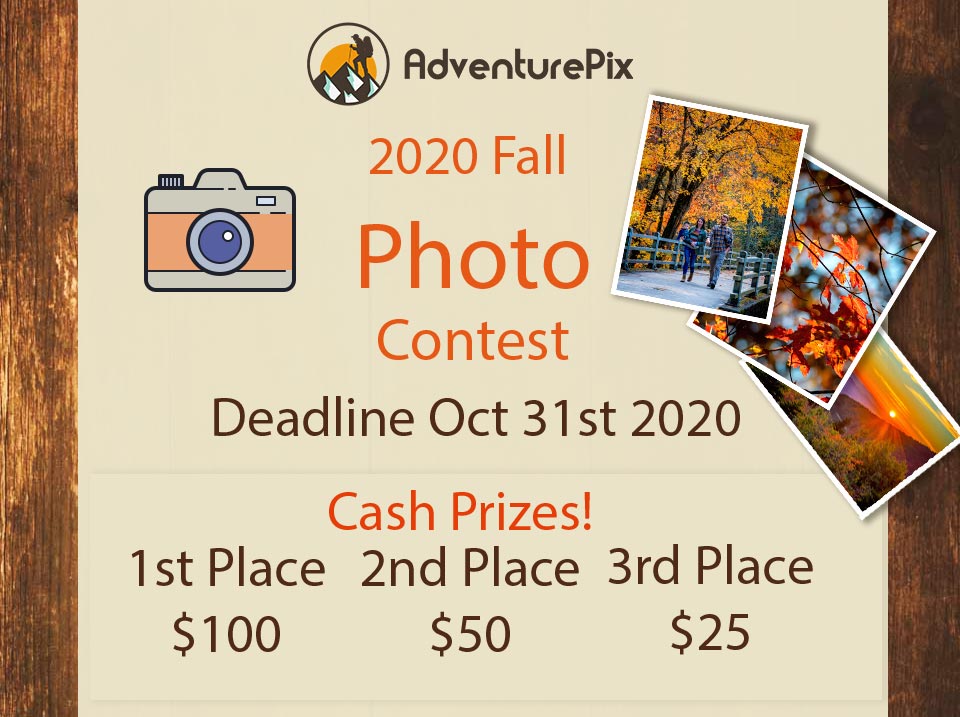 2020 Fall Photo Contest